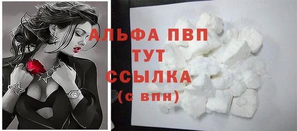 индика Воткинск