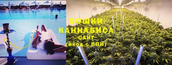 индика Воткинск