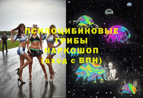 ПСИЛОЦИБИНОВЫЕ ГРИБЫ Нязепетровск