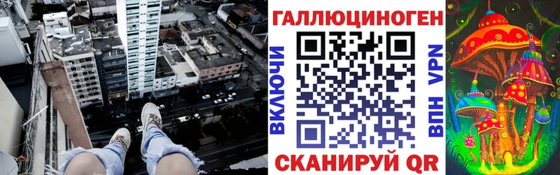Галлюциногенные грибы Psilocybine cubensis ОМГ ОМГ маркетплейс Шагонар