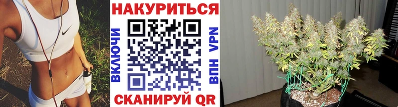 Канабис планчик  наркошоп  Шагонар 
